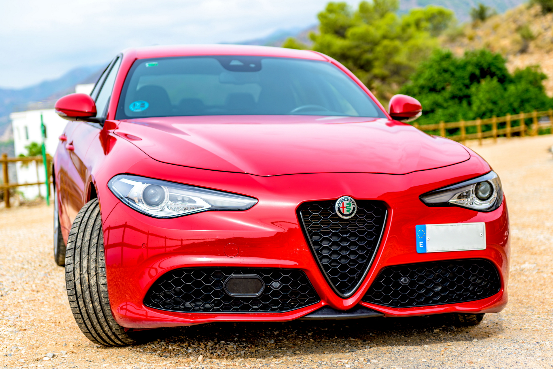 giulia_10.jpg
